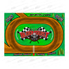 SB Checkered Flags Play Mat